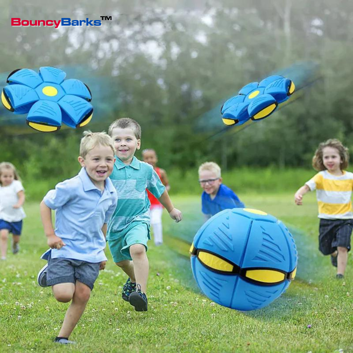 BouncyBarks™ Bouncing Ball