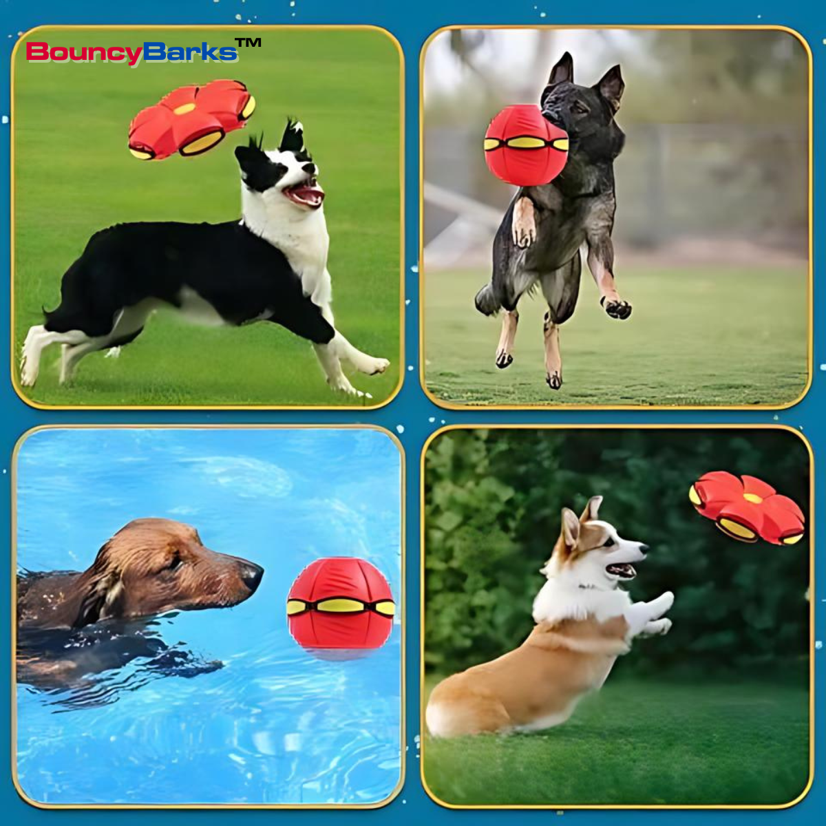 BouncyBarks™ Bouncing Ball