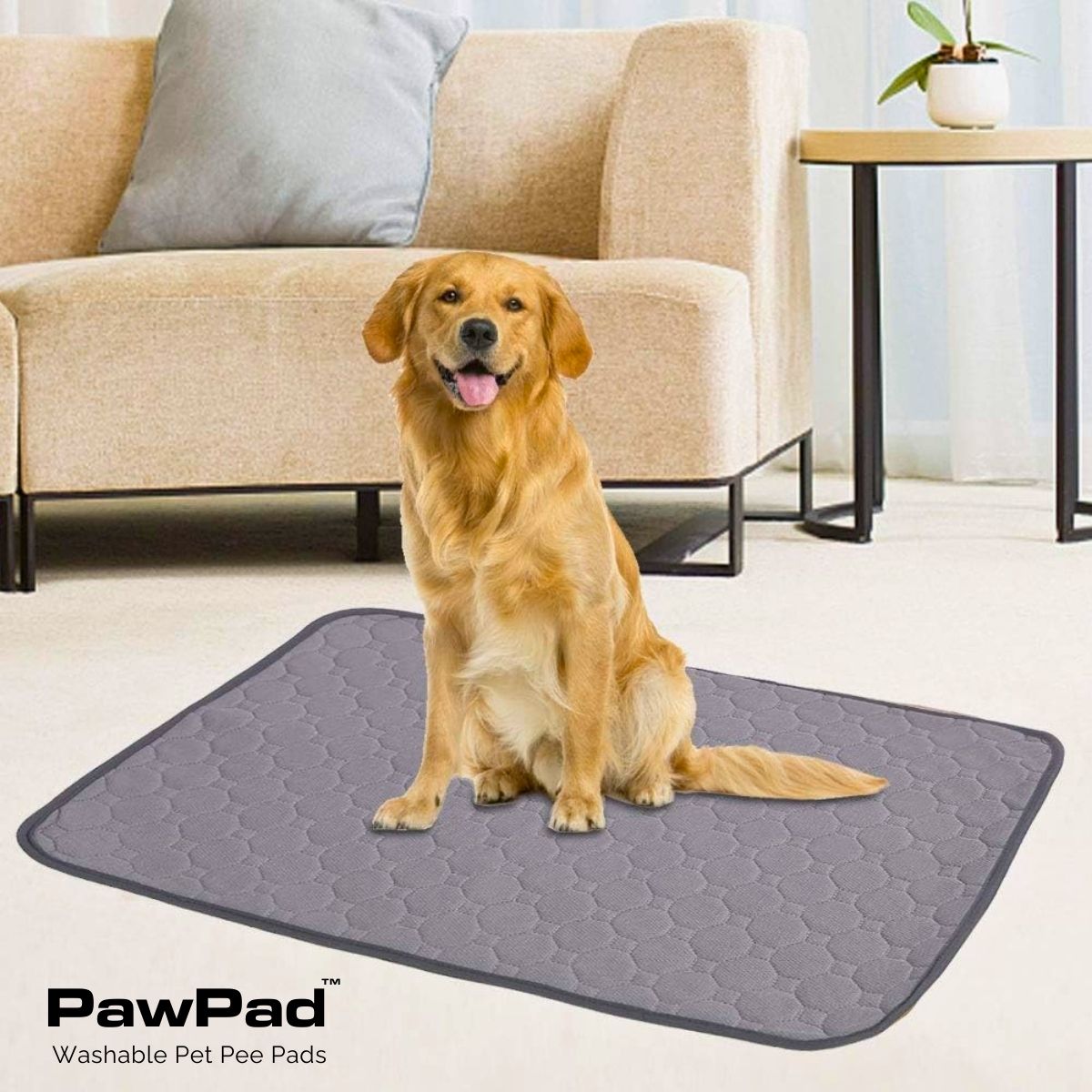 PawPad™ Washable Pet Pee Pads