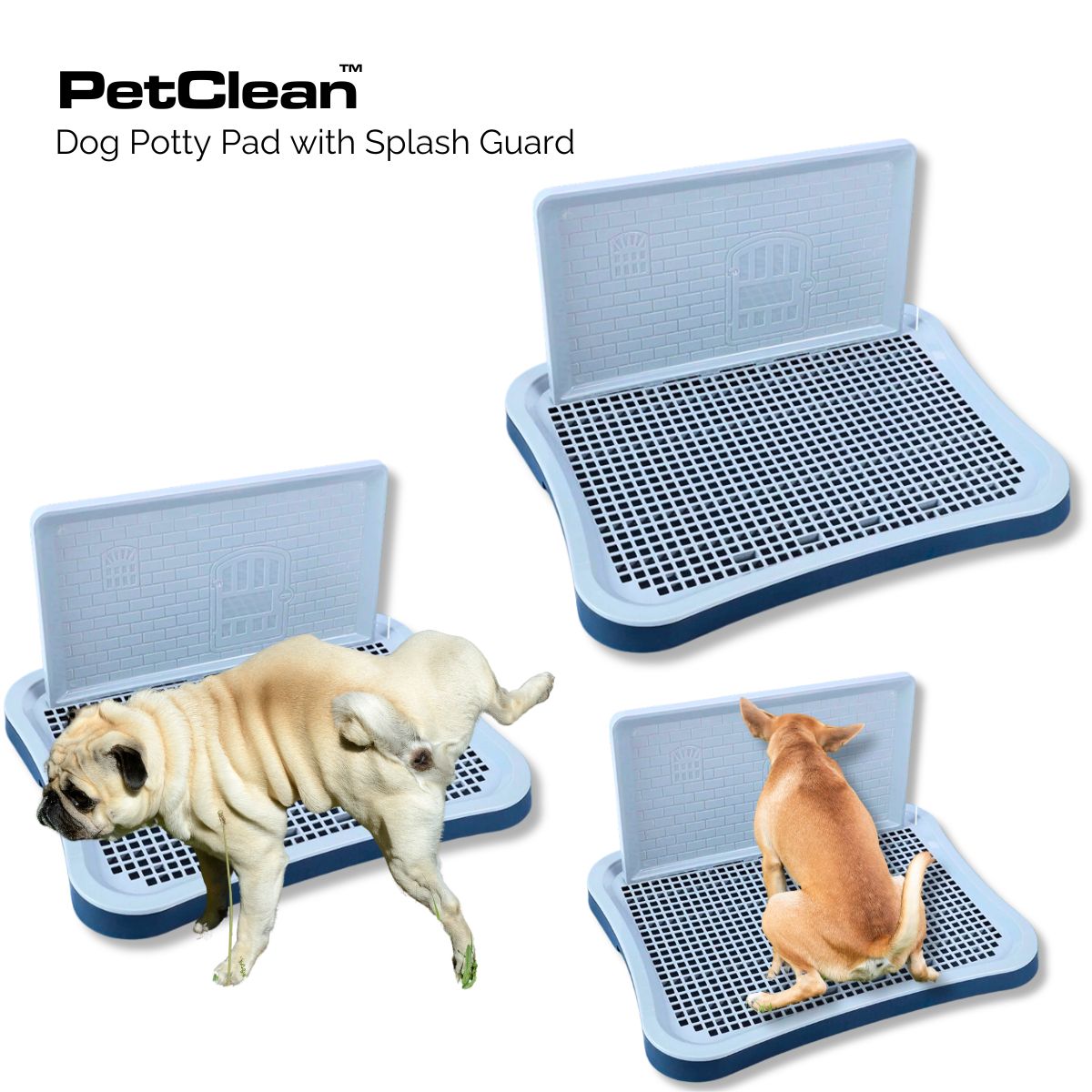 PetClean™ Dog Potty Pad with Splash Guard