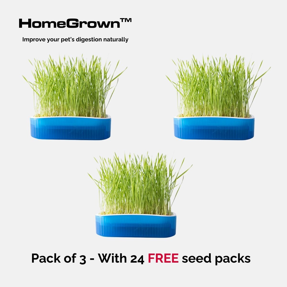 HomeGrown™ Digestive Aid Garden