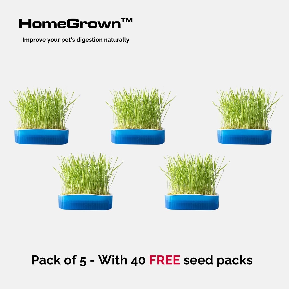 HomeGrown™ Digestive Aid Garden