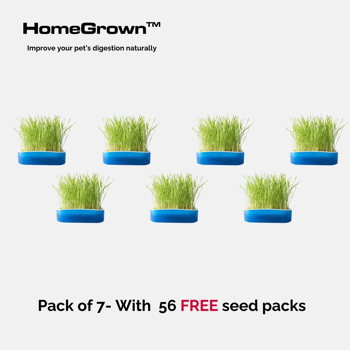 HomeGrown™ Digestive Aid Garden