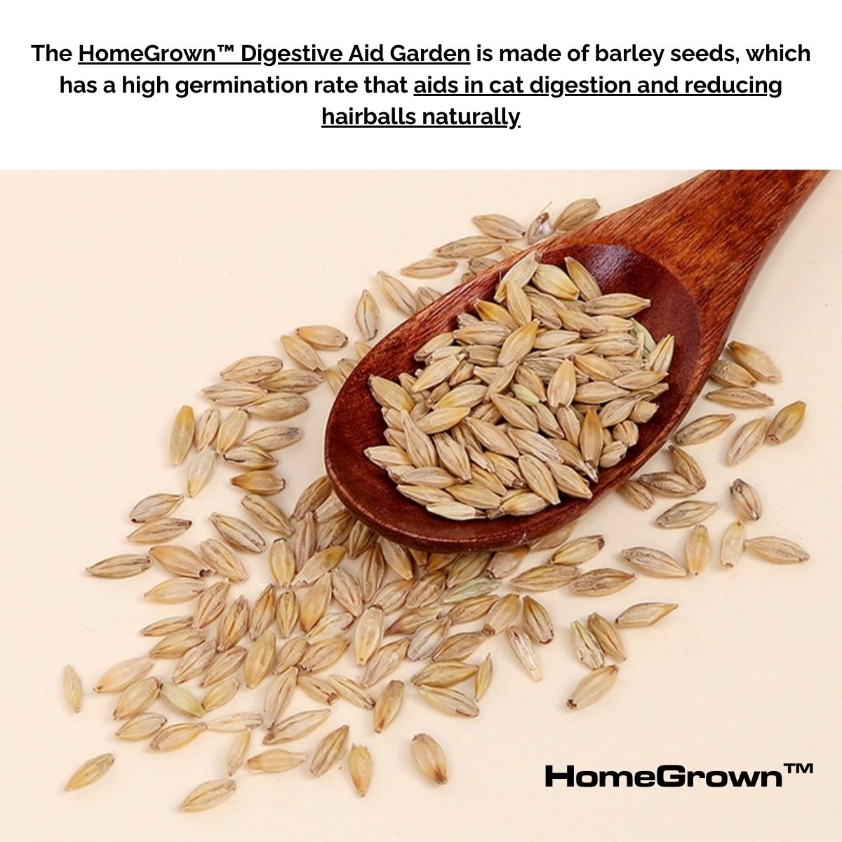 HomeGrown™ Digestive Aid Garden