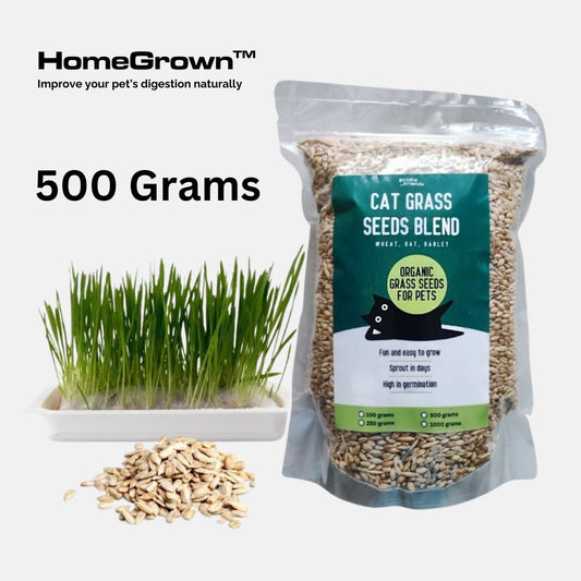 HomeGrown™ Digestive Grass Seeds