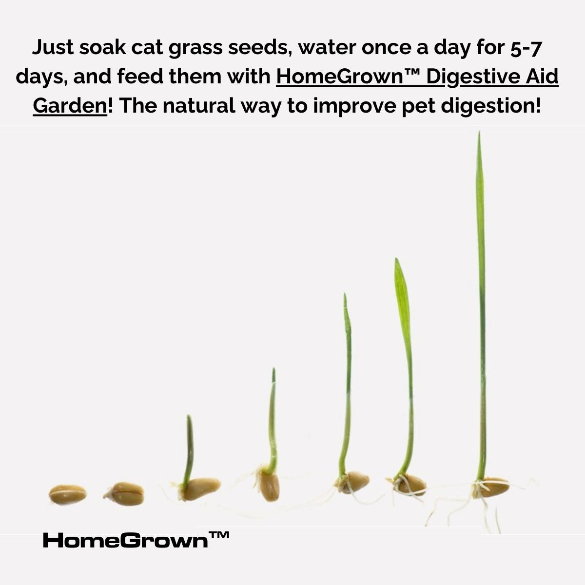 HomeGrown™ Digestive Aid Garden