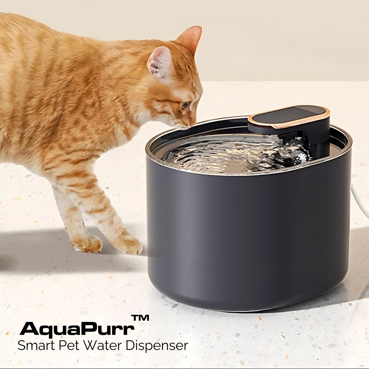 SimplySip™ Smart Pet Water Dispenser
