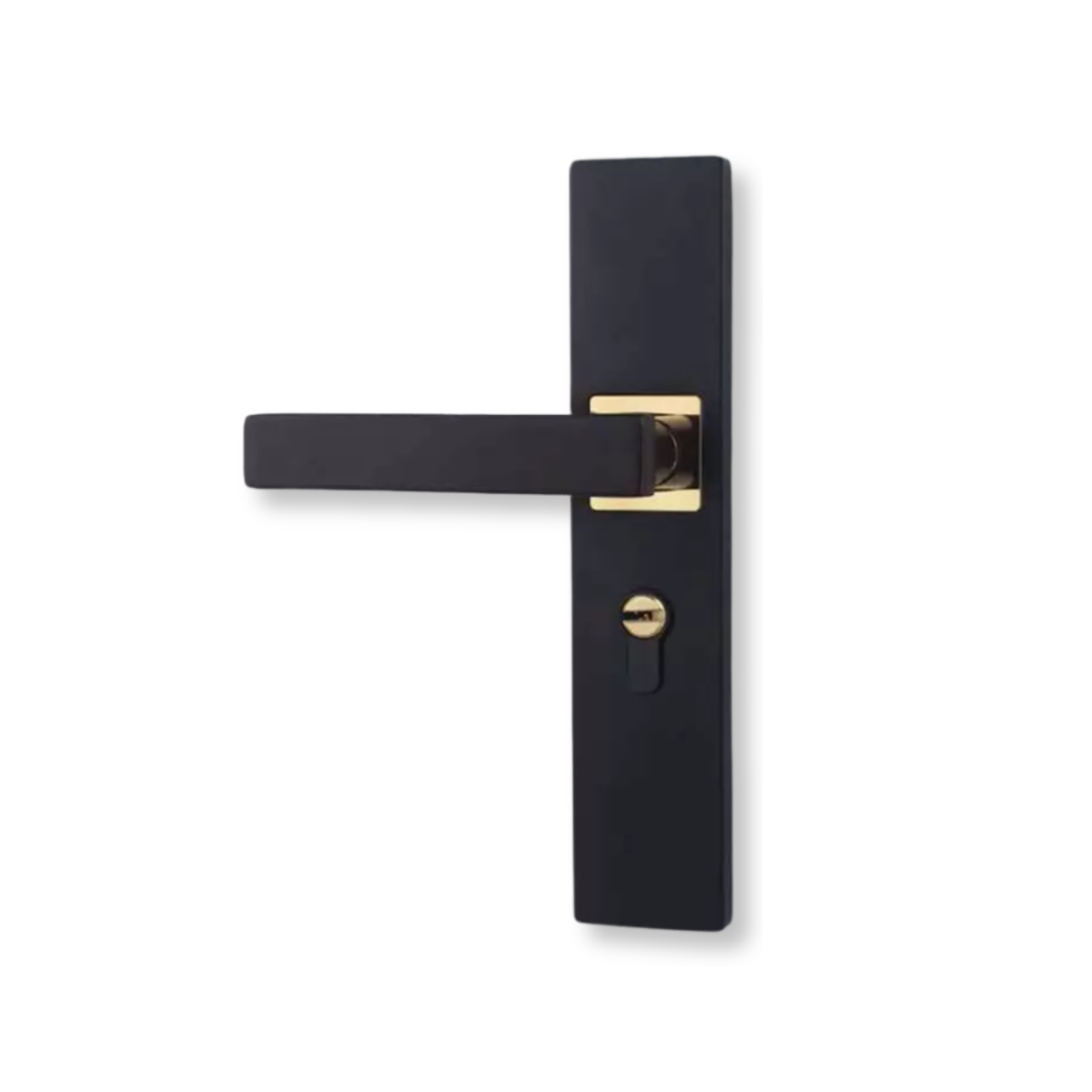 ProLock™ Stainless Steel Door Lock