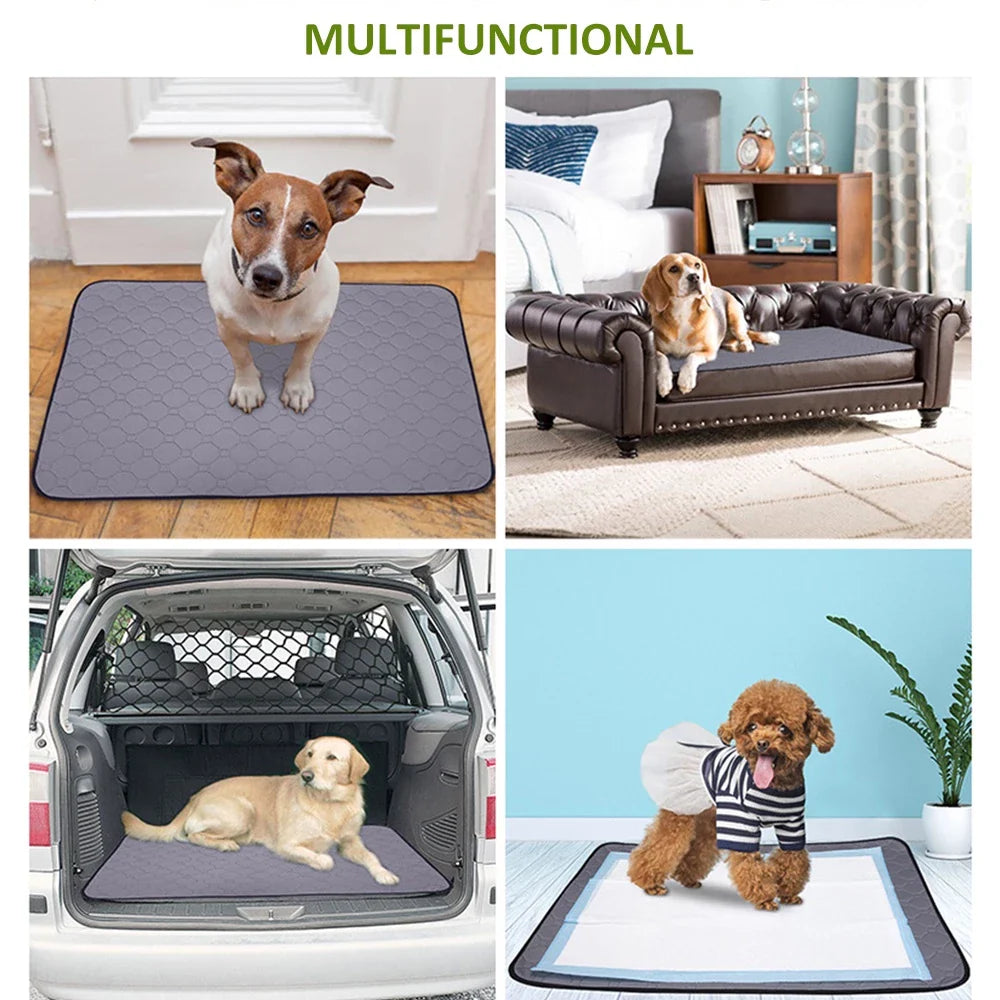 PawPad™ Washable Pet Pee Pads
