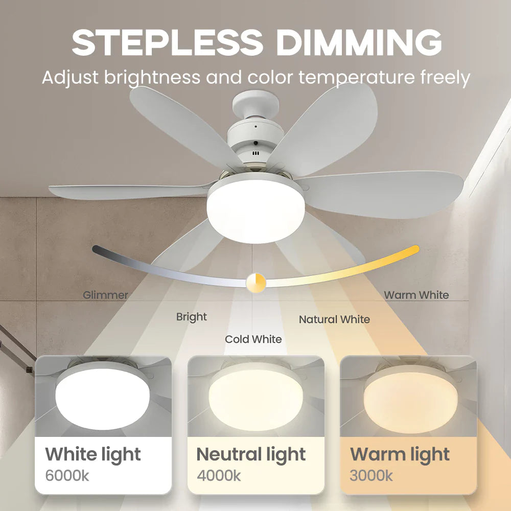 BreezeGlow™ Fan Light