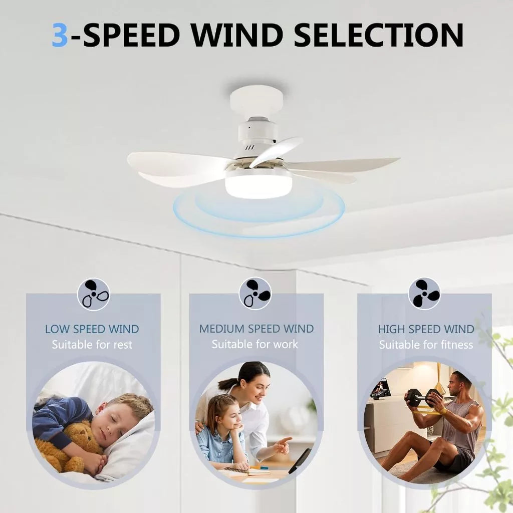 BreezeGlow™ Fan Light
