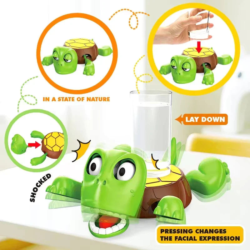 PopShell™ Turtle Coaster