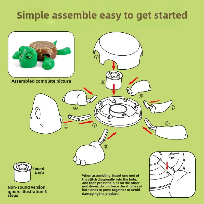 PopShell™ Turtle Coaster